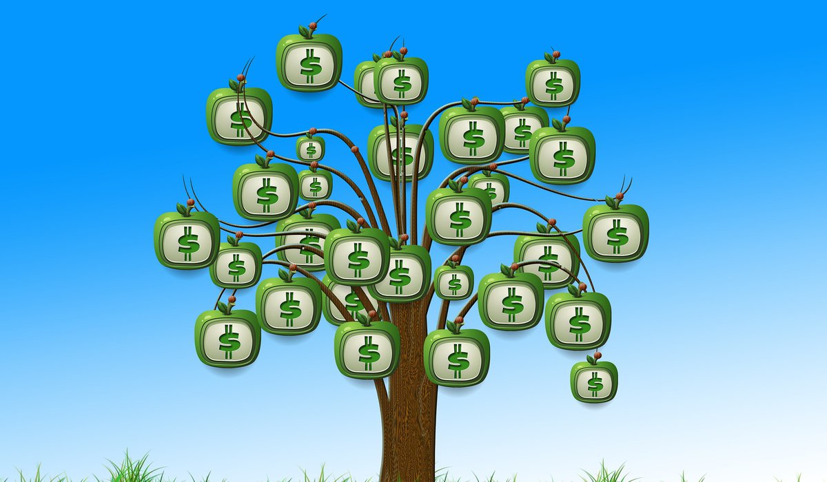 money tree